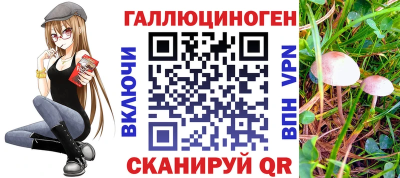 ссылка на мегу ONION  Дубна  Псилоцибиновые грибы Cubensis 